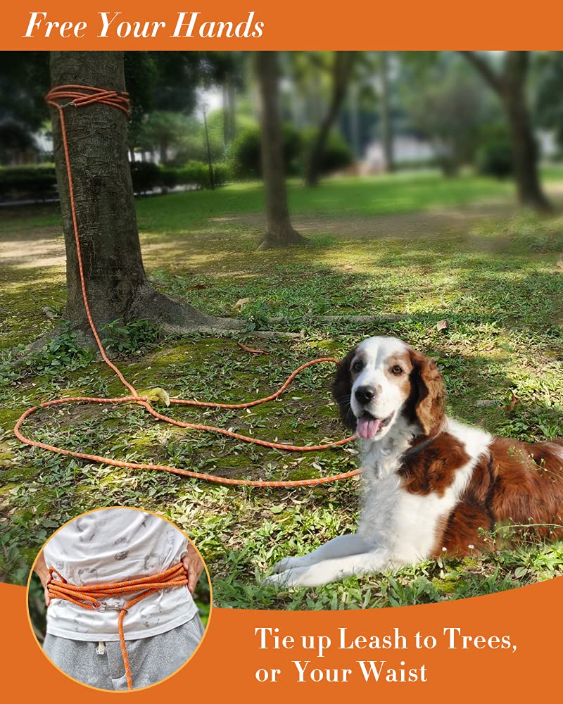 Lanwandeng leash with stainless steel swivel clip for easy rotation.