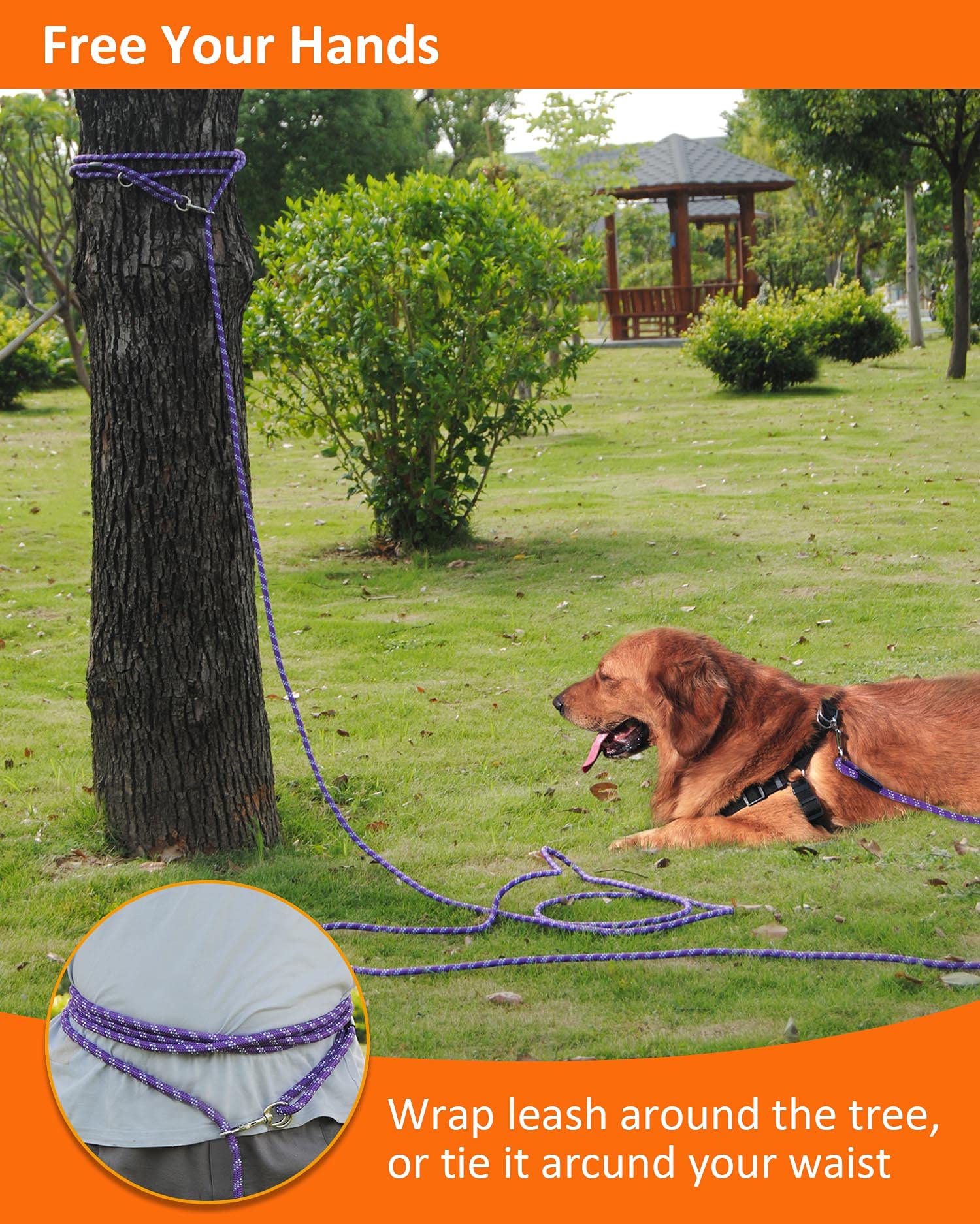 Lanwandeng long dog leash suitable for large dogs providing controlled freedom.