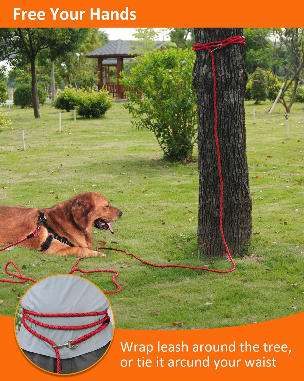 Lanwandeng Long Dog Leash ideal for hiking and camping outdoor activities.
