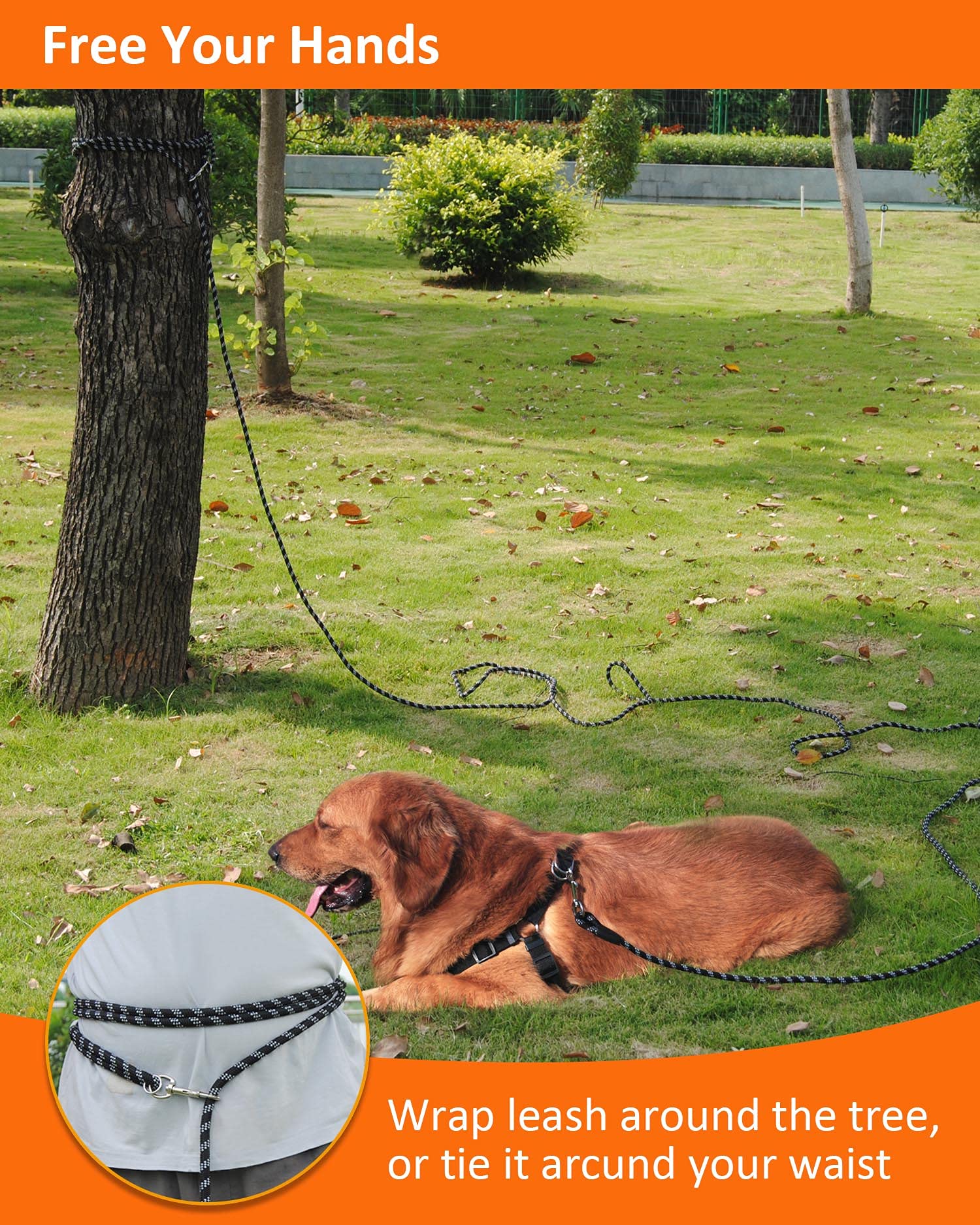 Lanwandeng long dog leash reflective night safety, visible in low light for nightly strolls.