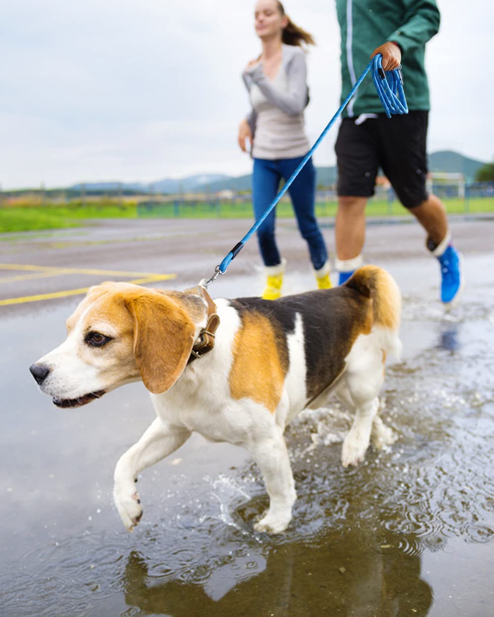 Lanwandeng nylon rope leash is lightweight yet strong for outdoor adventures.