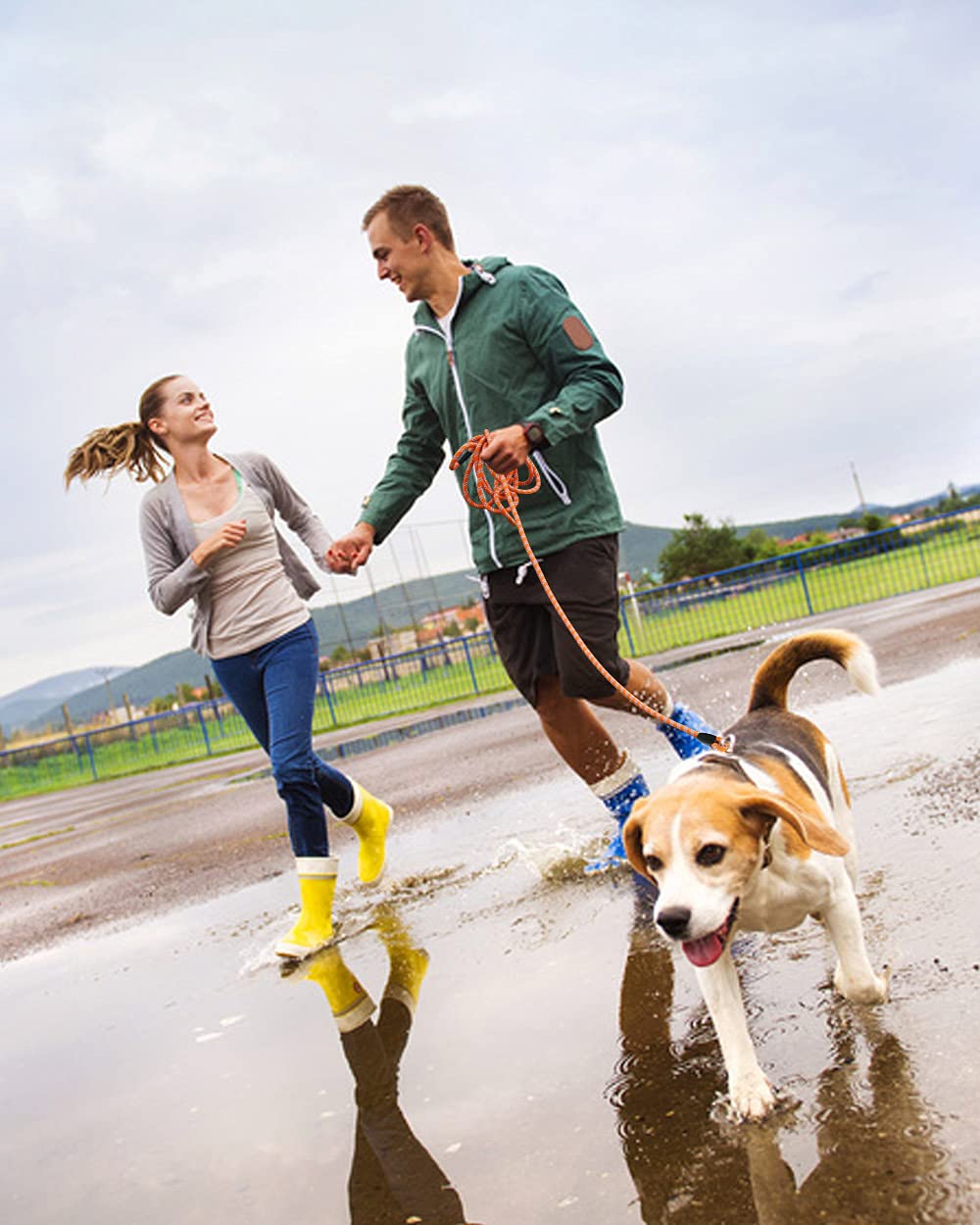Lanwandeng leash with reflective stitching for night safety.