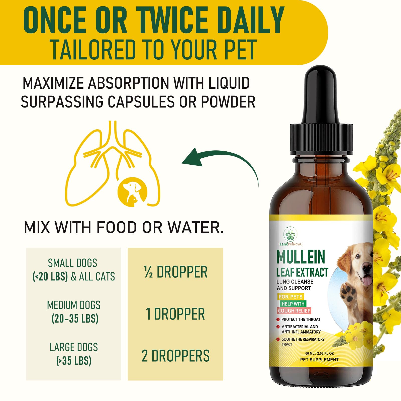 Label on LanxPetNova bottle highlights alcohol-free formula and safety.