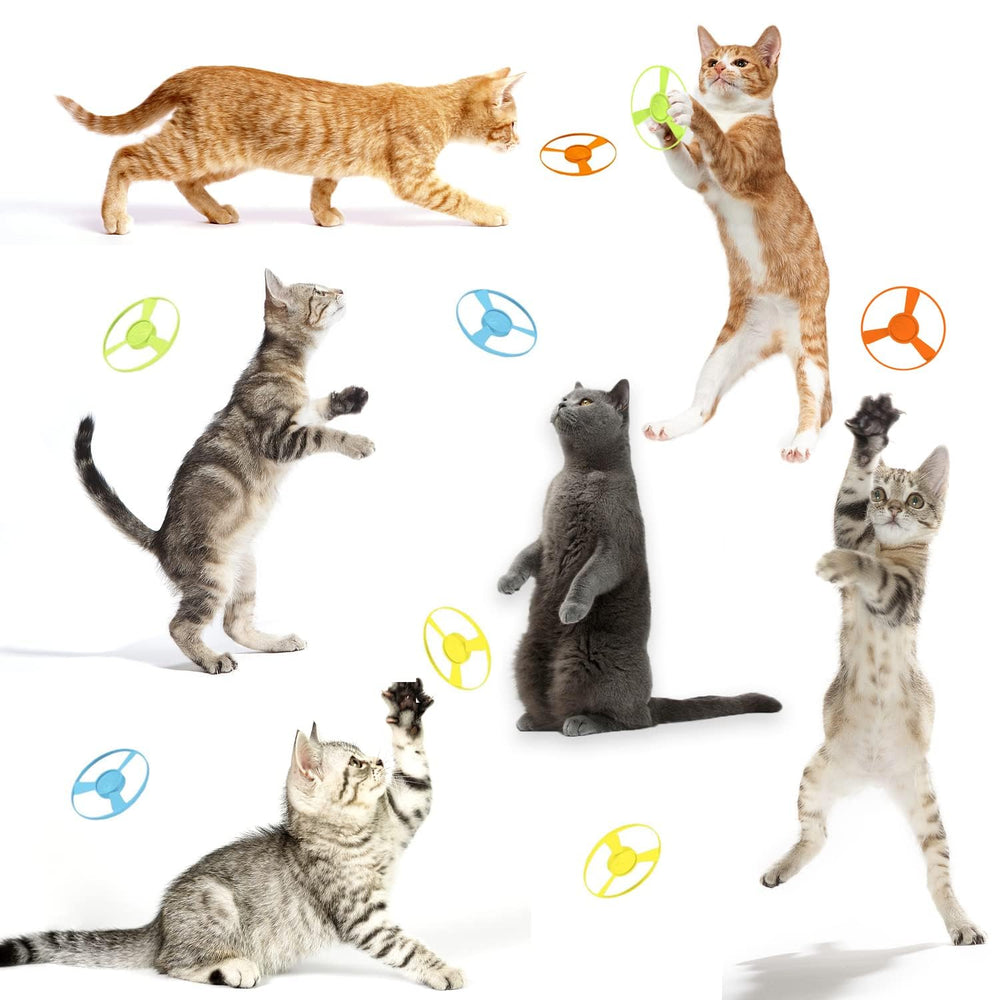 LAPOHI colorful set helps pets exercise and bond.