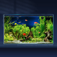 LAQUAL 10-gallon ultra-clear tank highlights vivid fish and plants with pristine low-iron glass