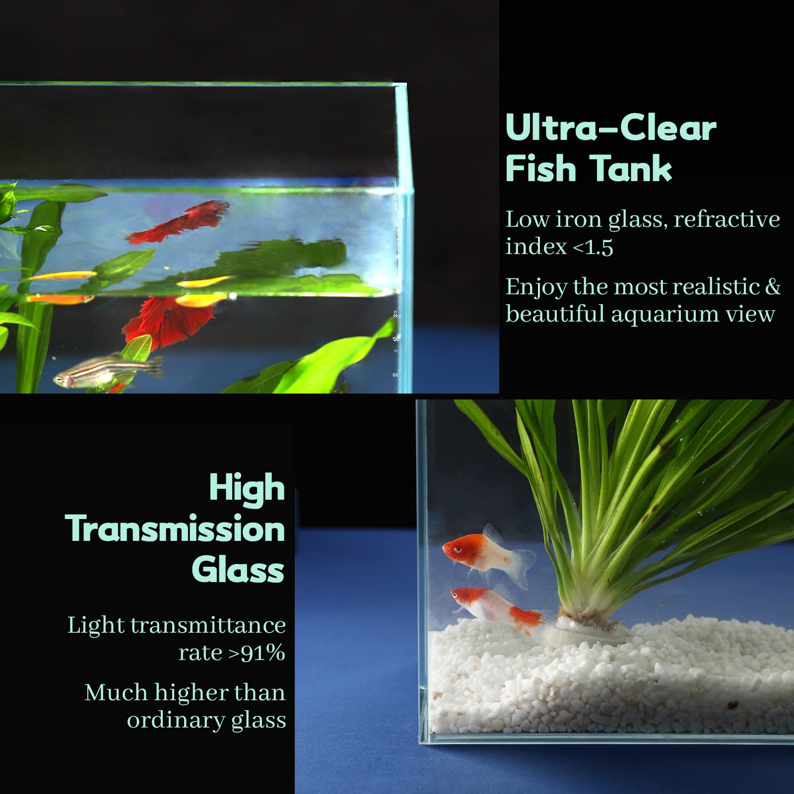 LAQUAL cover clips and anti-jumping net keep fish safe during observation