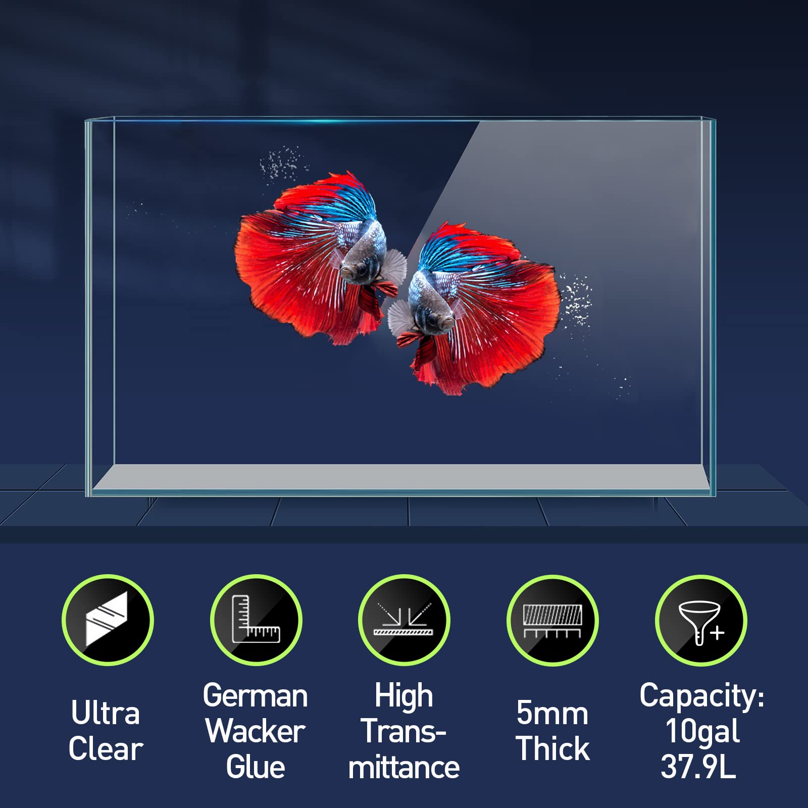 LAQUAL rimless edge glass offers seamless viewing of Betta and small inhabitants