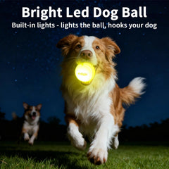 LaRoo motion-activated LED ball lights up automatically during play.