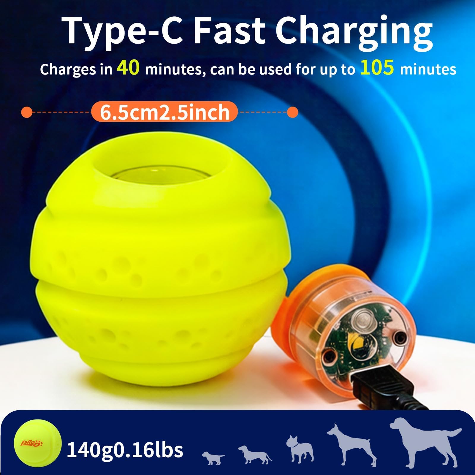 LaRoo fits small-to-medium dogs for safe nighttime training and fetch.