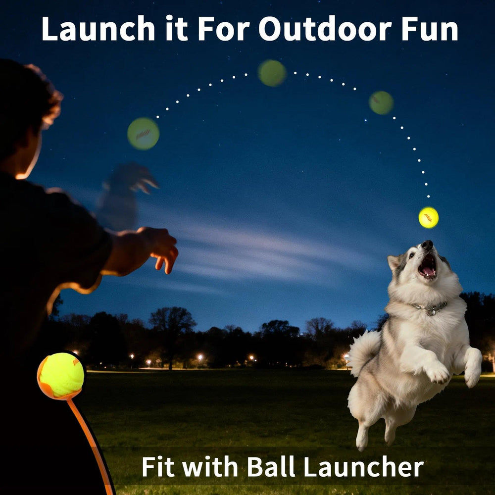 LaRoo USB-C rechargeable ball charges quickly for extended night glow.