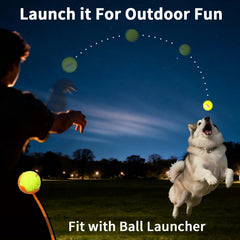LaRoo USB-C rechargeable ball charges quickly for extended night glow.