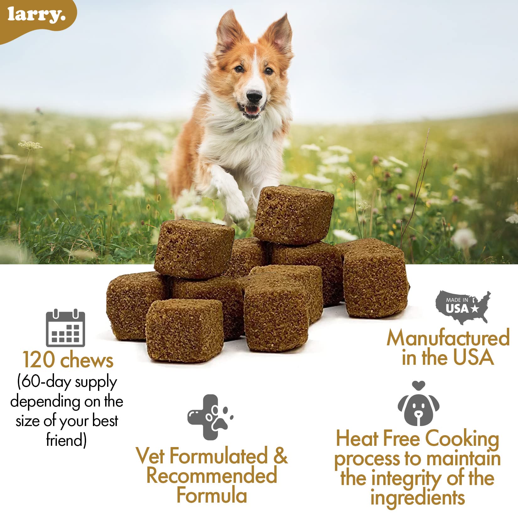 Dog enjoying Larry supplement, illustrating pet-friendly texture and flavor.