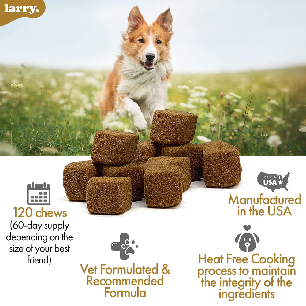Dog enjoying Larry supplement, illustrating pet-friendly texture and flavor.