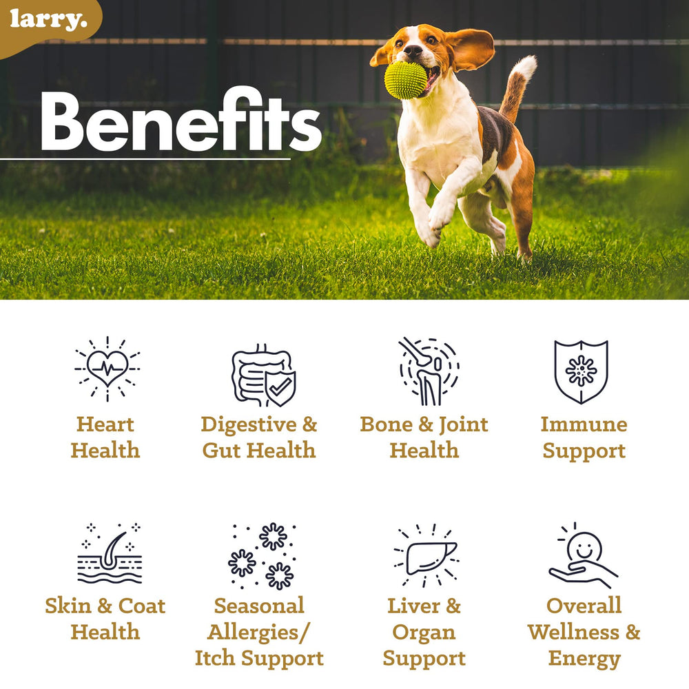 Hand holding Larry chews demonstrates simple daily supplementation for all breeds.
