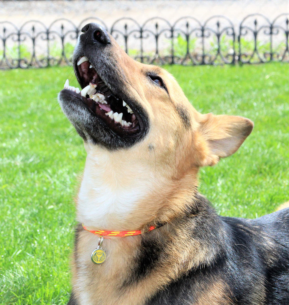 Color options available for Lassos Boutique Thin Mountain Rope ID Collar.
