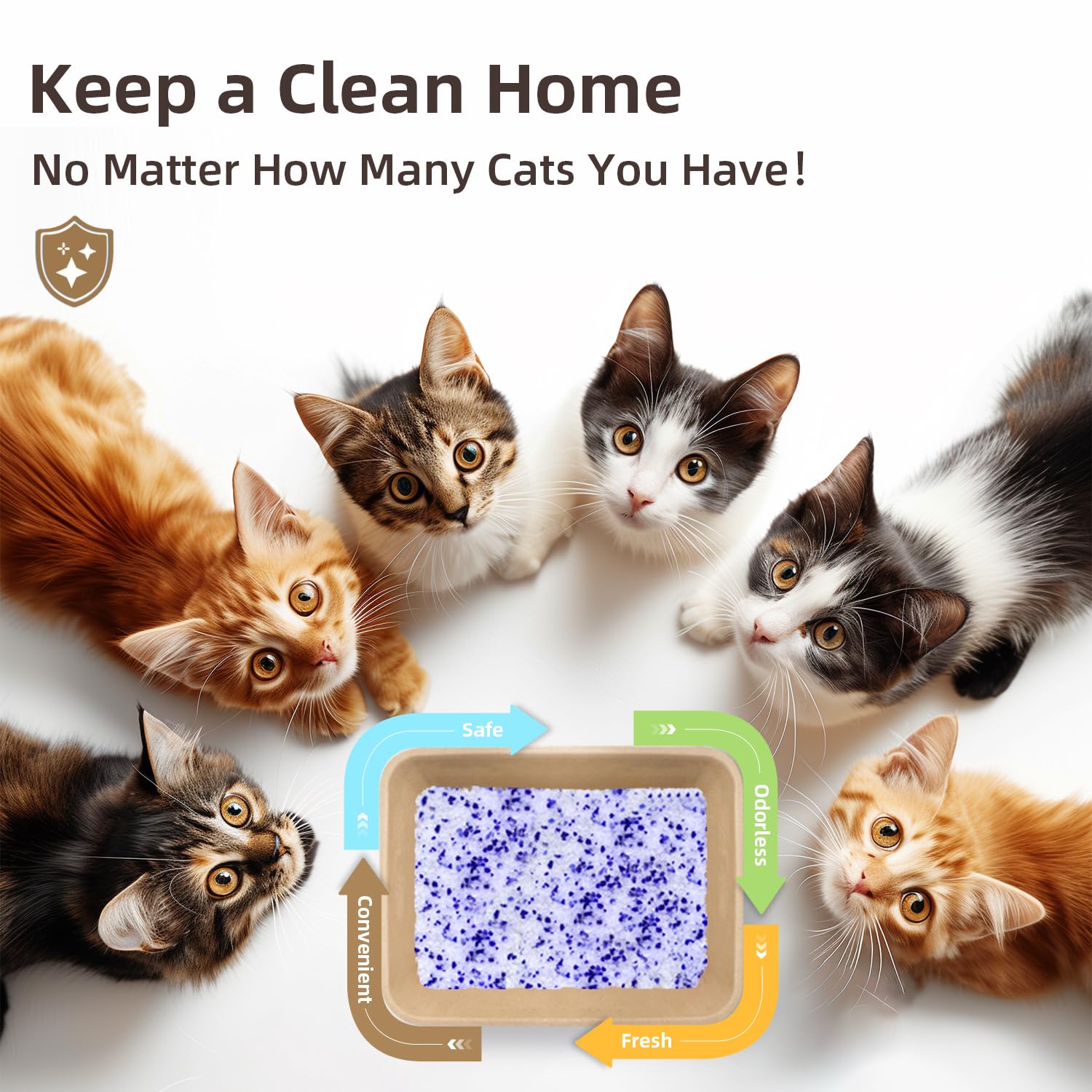 LaSiL multi-cat use offers long-lasting economy and less frequent replacements.