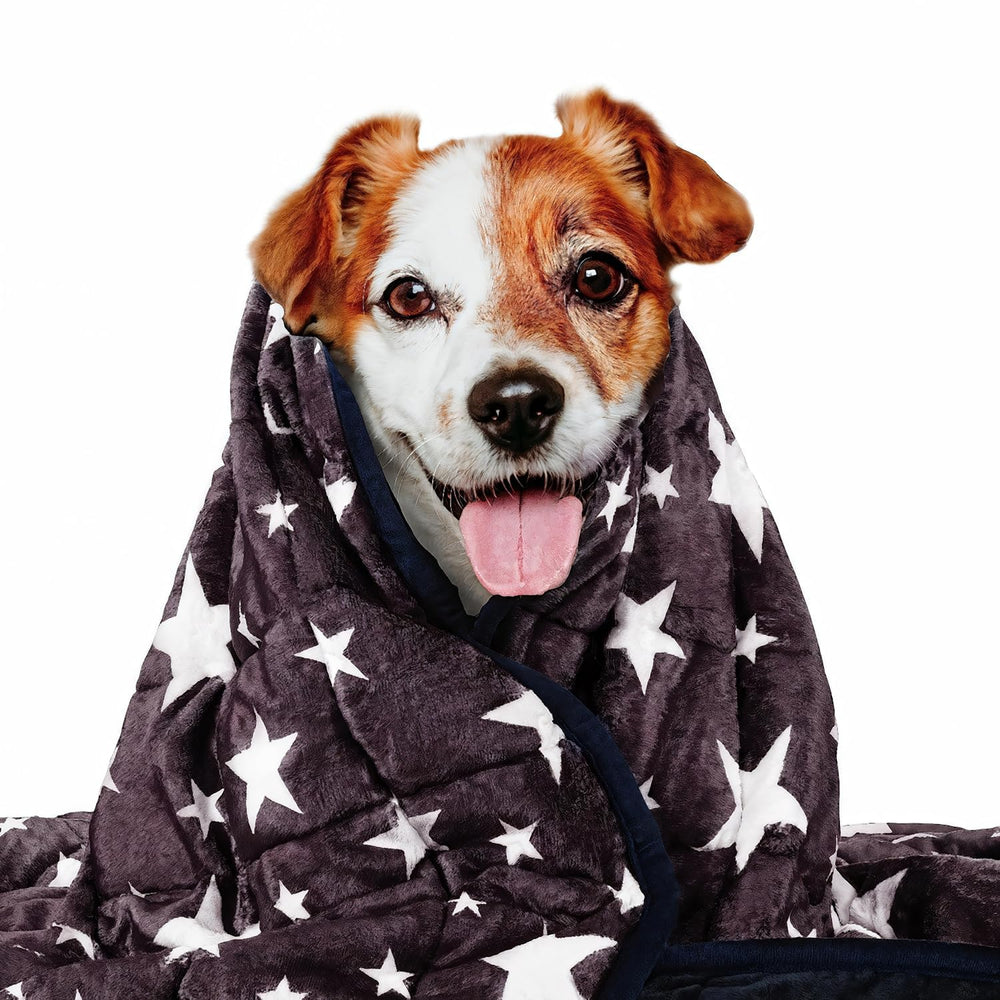 LaSyL weighted blanket for dogs with blue-grey star design for calming use