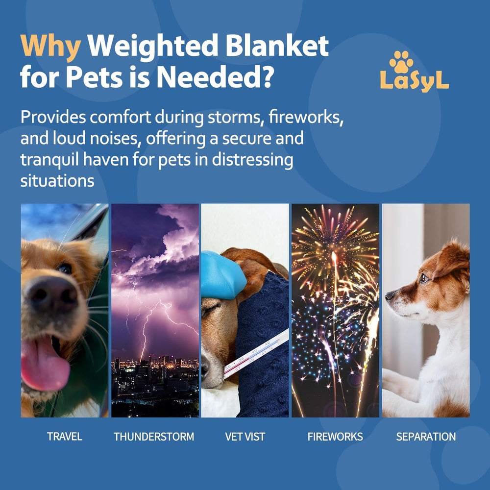 LaSyL double-sided Minky blanket provides cozy comfort for pets