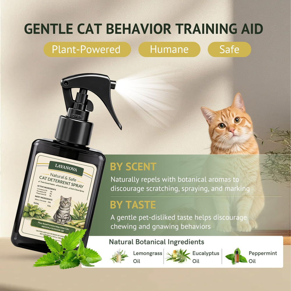 LAVANOVA cat deterrent spray on sofa area deters scratching and marking