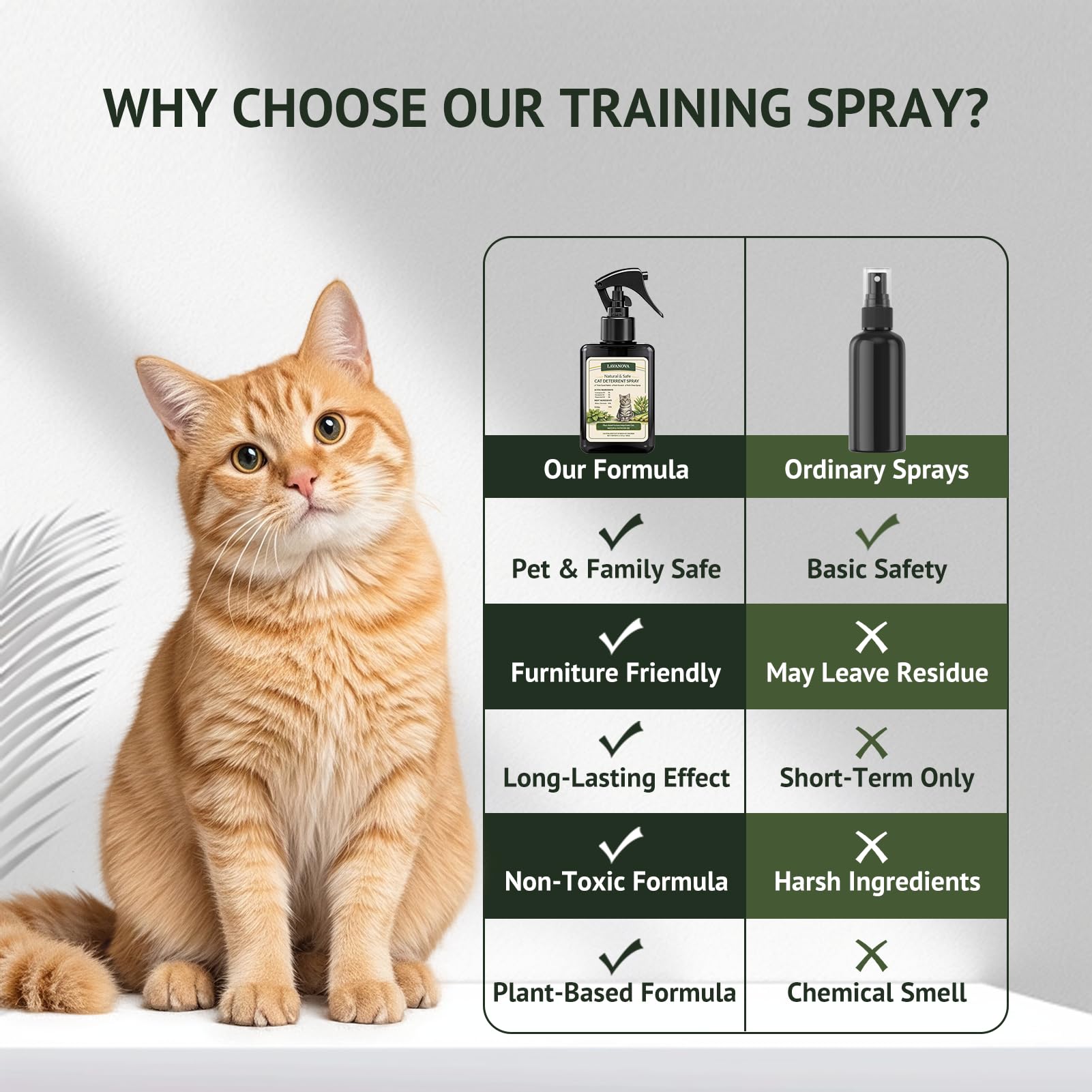 LAVANOVA furniture protection spray safeguards couches and curtains