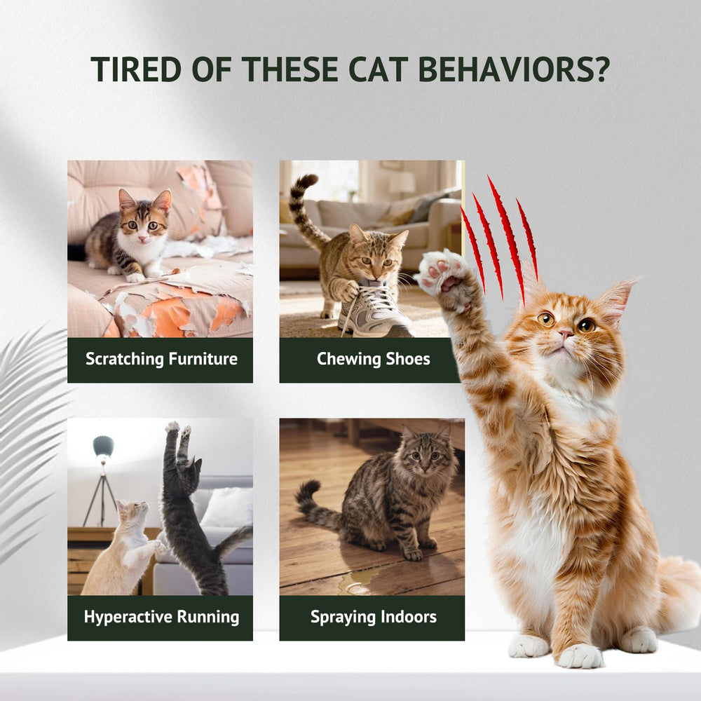 LAVANOVA training boundary spray supports consistent cat training