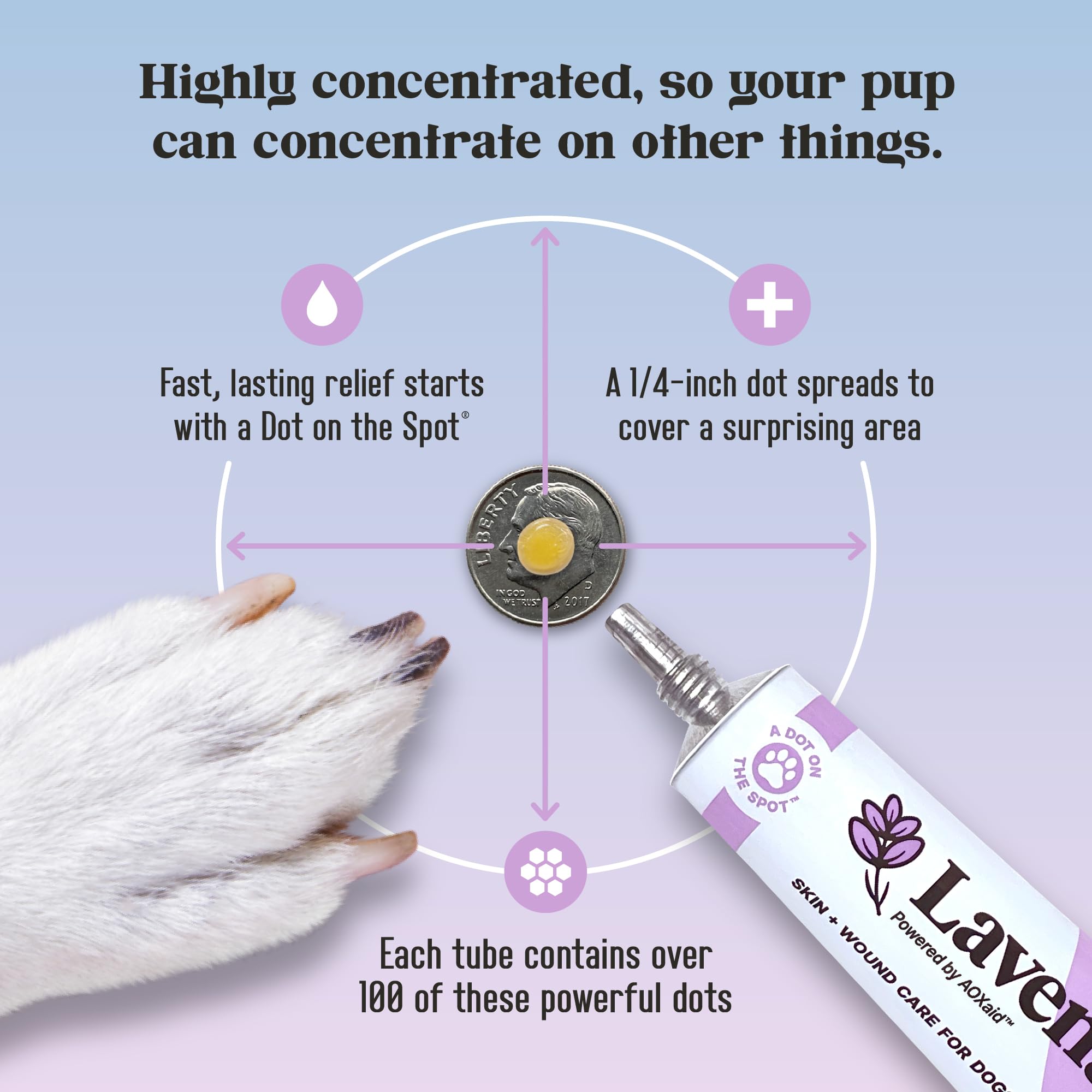 Dermatitis on a dog's paw treated with Lavengel.