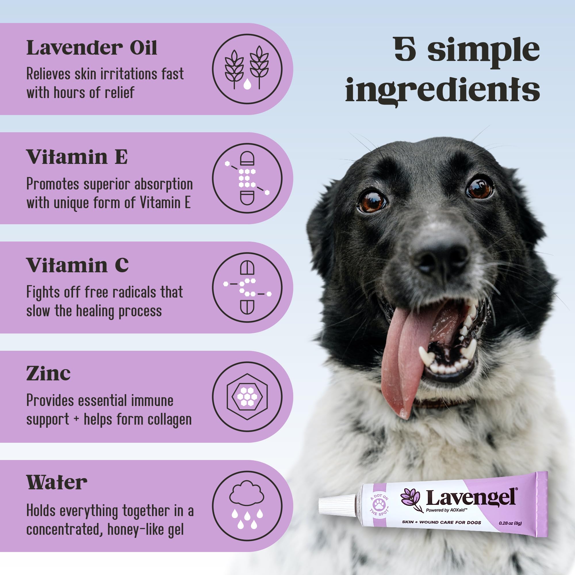 First aid kit ready with Lavengel for dogs.