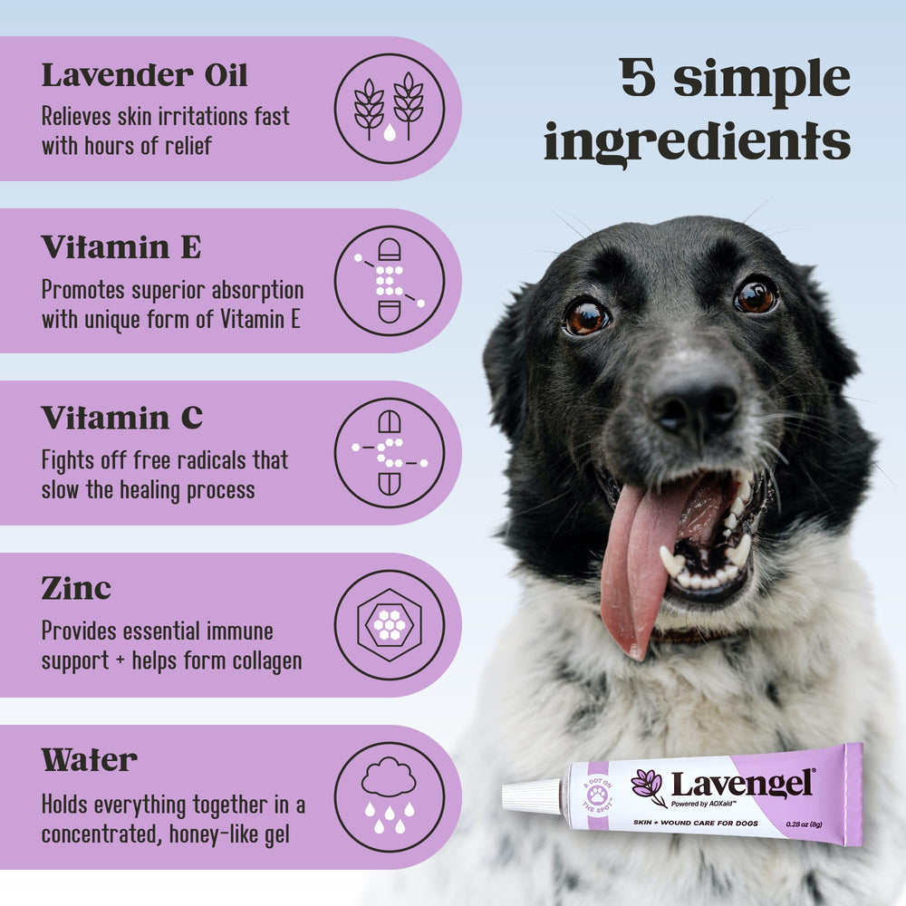 First aid kit ready with Lavengel for dogs.