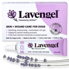 Lavengel dog ointment tube close-up for easy application.