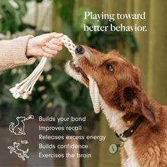 LAY LO teething rope toy for puppies with soft cotton fibers for chewing.