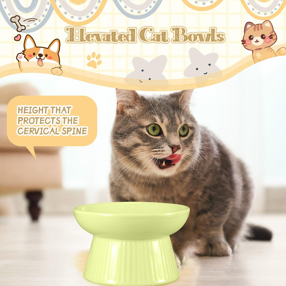 Layhit two-pack image shows value and stylish design for cat dining.
