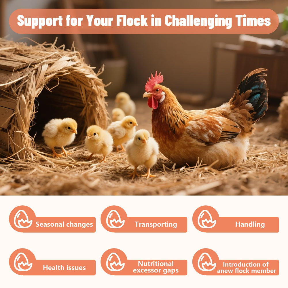 Lazersell Poultry Electrolyte powder dissolves quickly without clogging waterers.