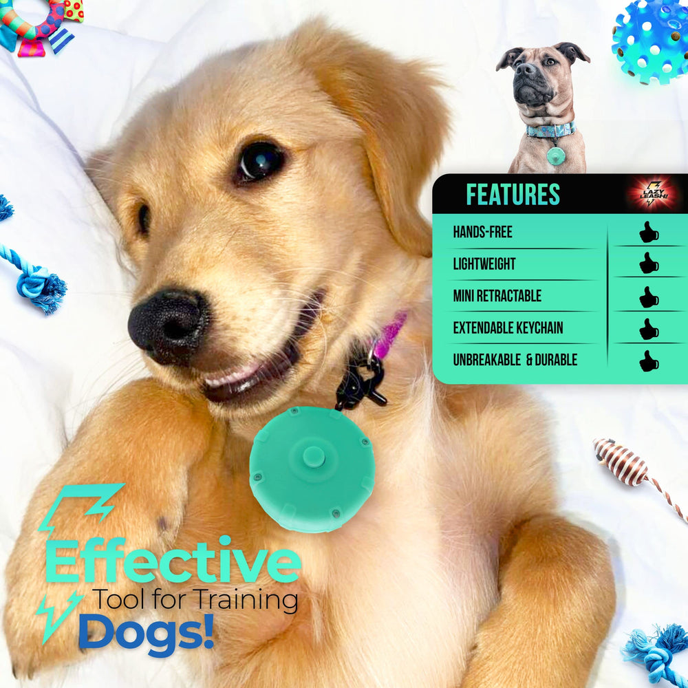 Lazy Leash Mini Power Leash lightweight design for comfortable hands-free wear.