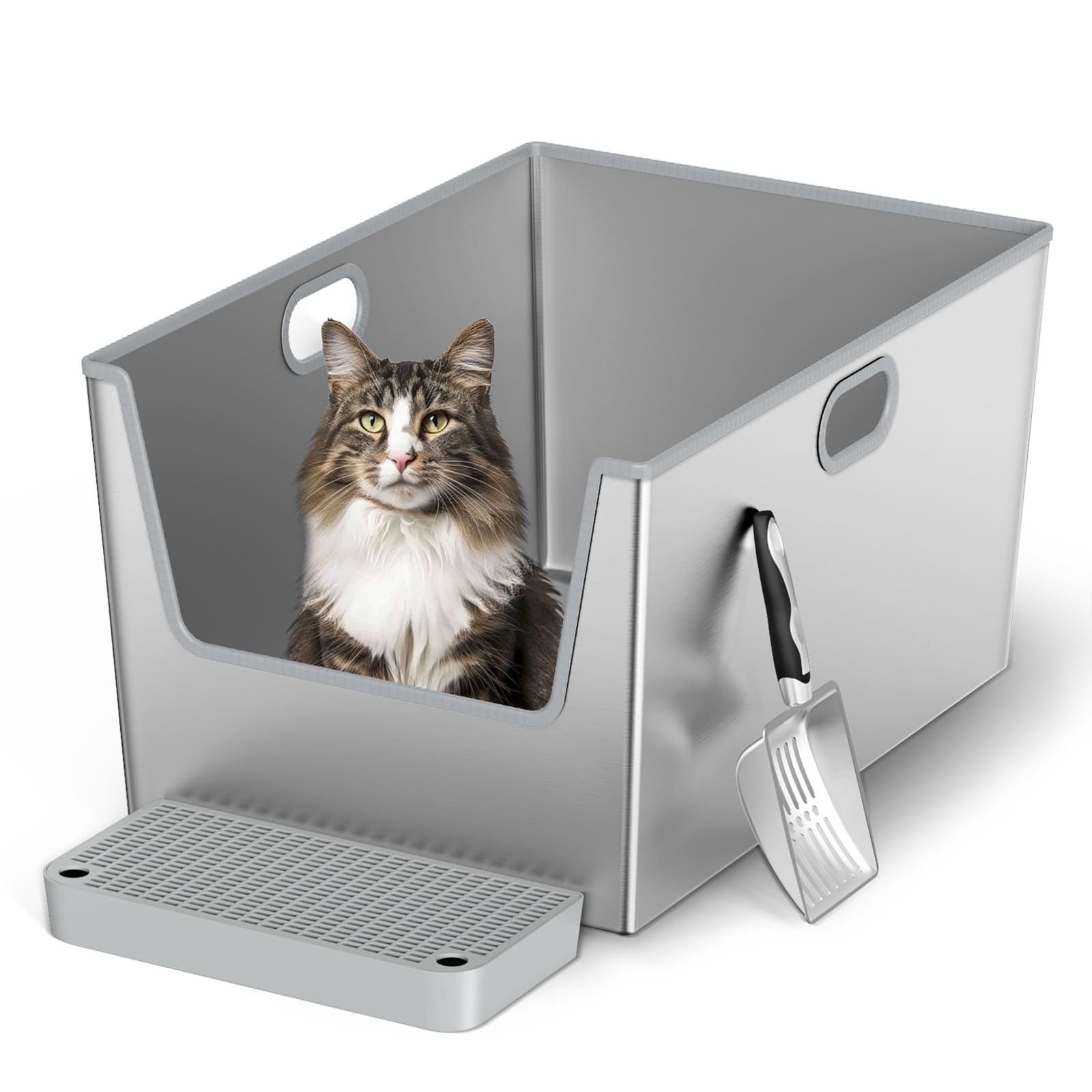LBXZen spacious area supports big cats like Maine Coons.