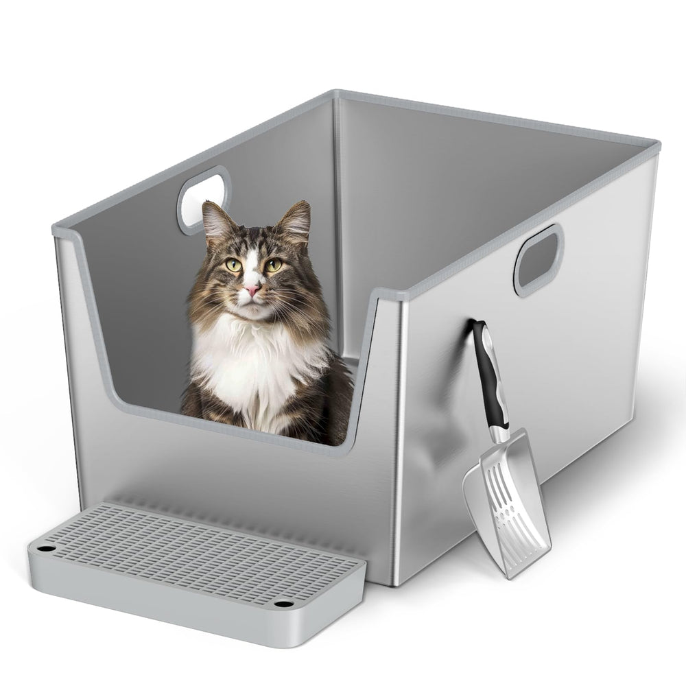 LBXZen spacious area supports big cats like Maine Coons.