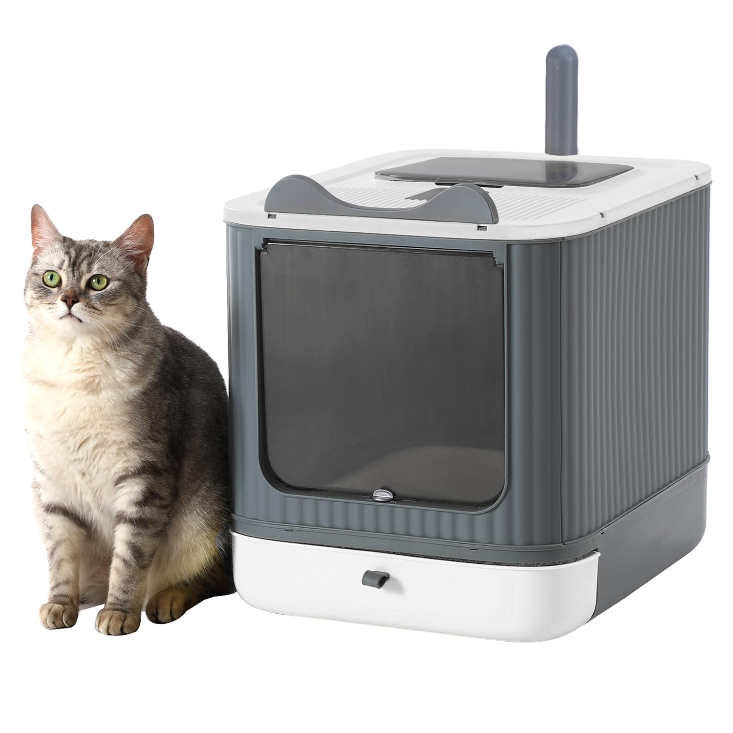 LCZLBRRD foldable litter box open view emphasizes privacy and easy setup.
