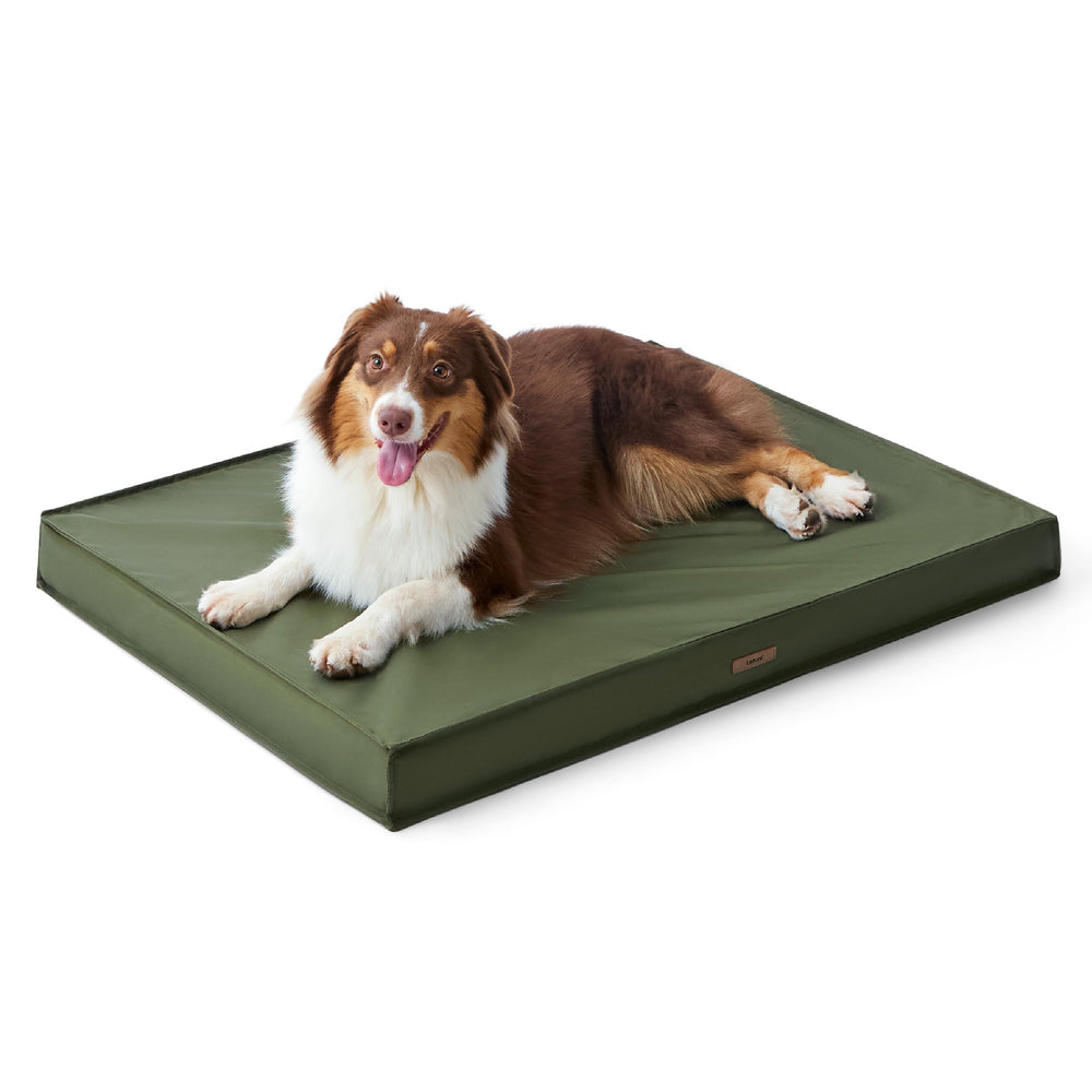 LE SURE 30x20 green bed offers comfortable resting anywhere.