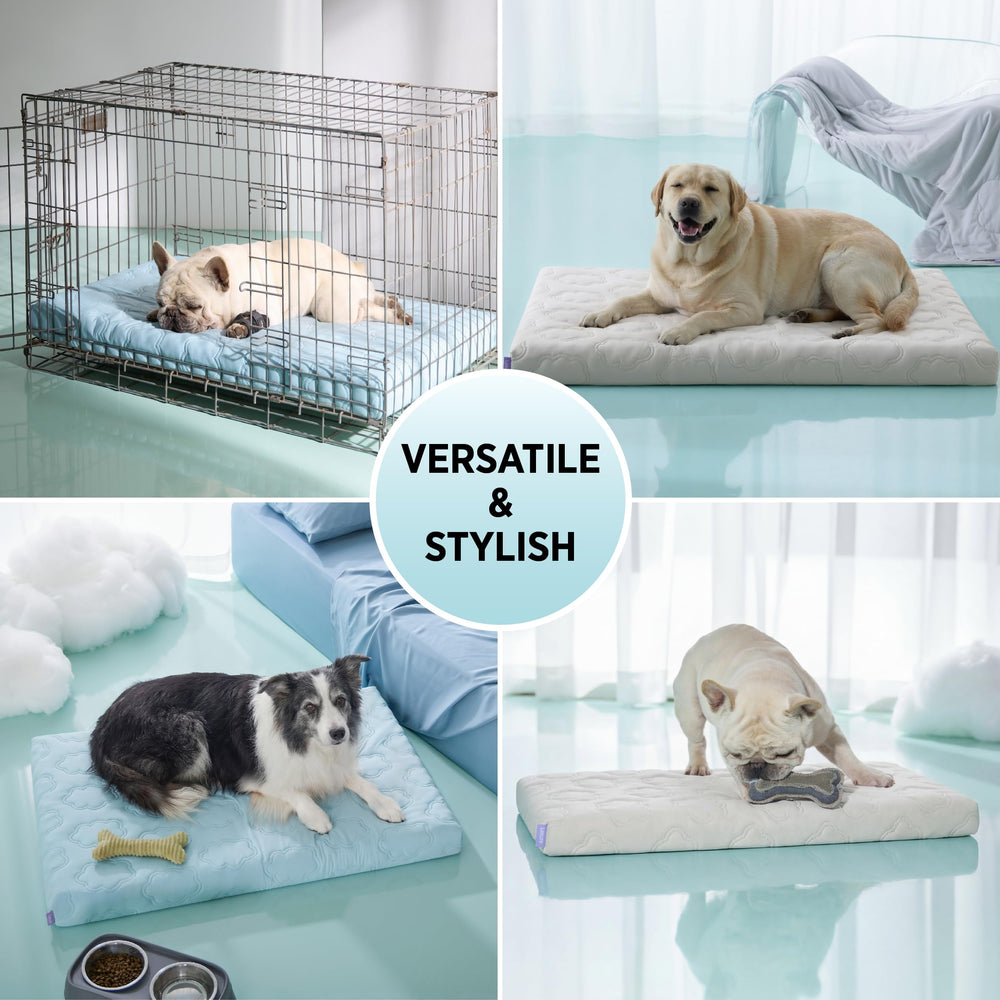 LE SURE cooling dog bed XL - supports seniors with comfortable contour