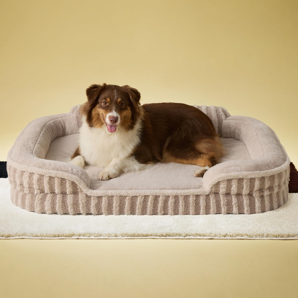 LE SURE Cute Dog Bed with egg crate foam for comfortable joint support and plush lounging.