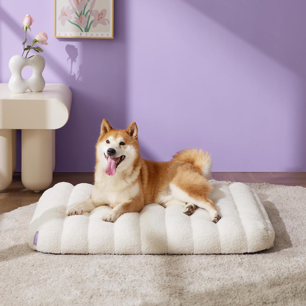 LE SURE orthopedic dog bed close-up showing egg-crate foam for supportive lounging
