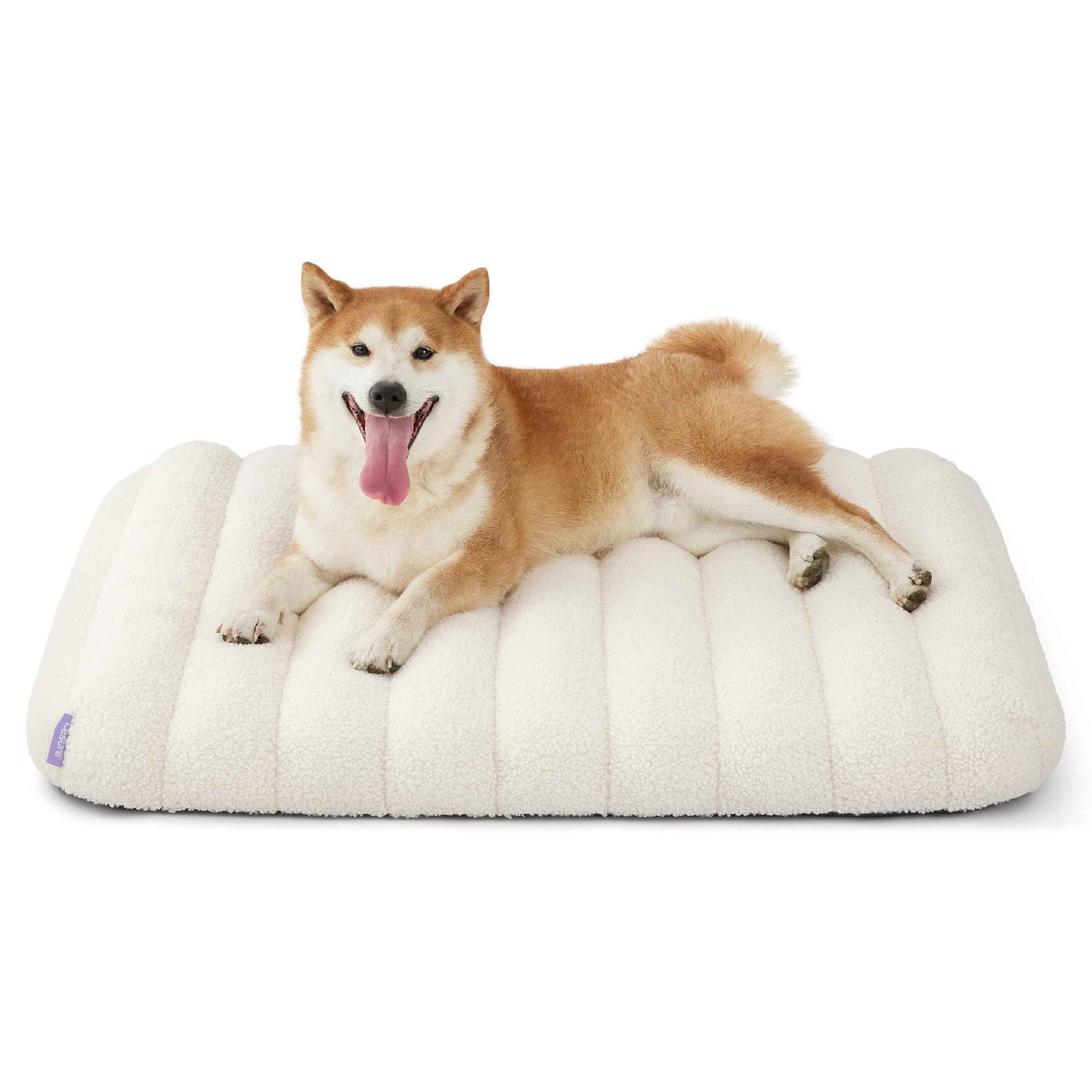 LE SURE bed shown in crate and travel setup for versatile use