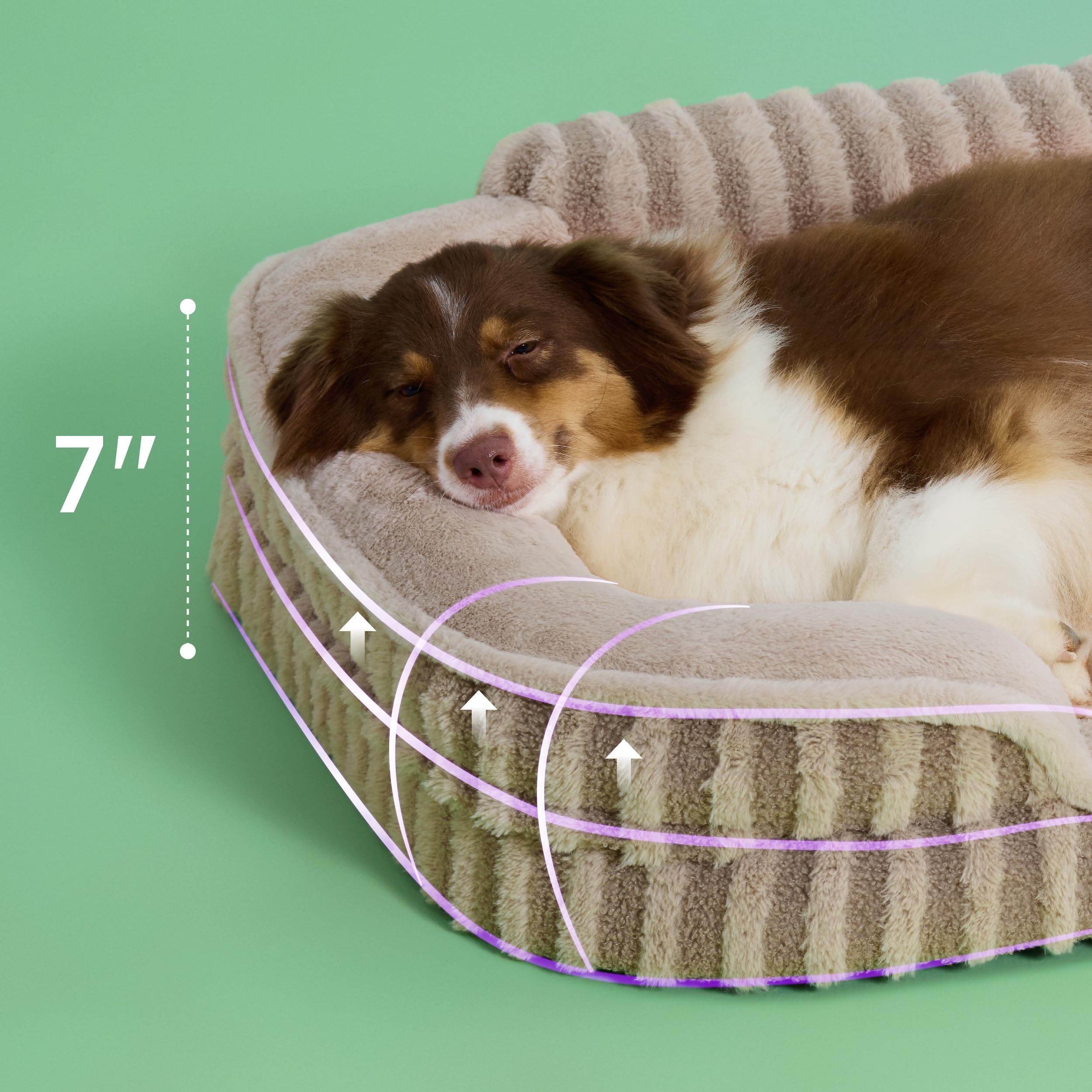 LE SURE dog bed shows waterproof liner protecting foam from spills for easy care.
