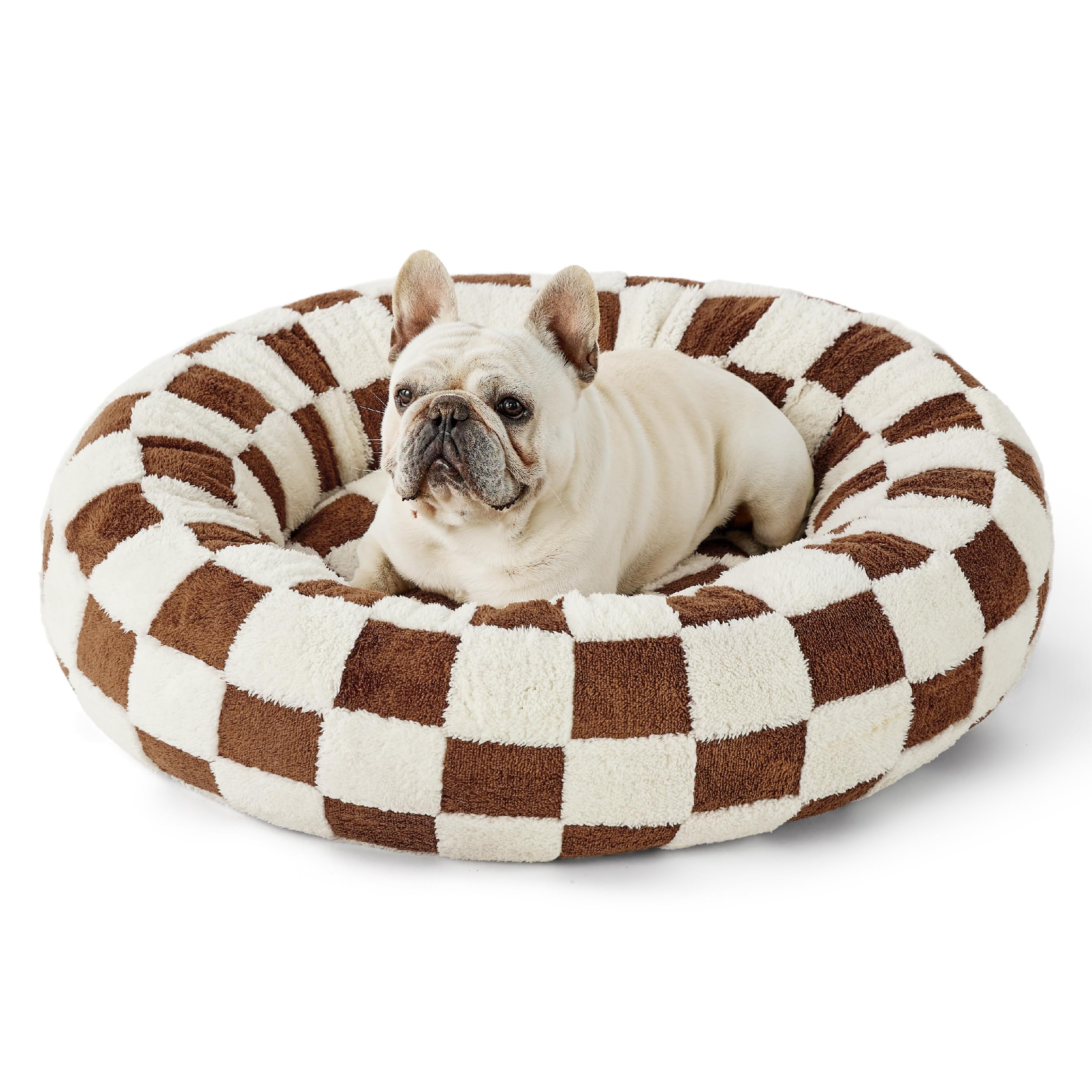LE SURE ideal for pets relaxing in a cozy living room.