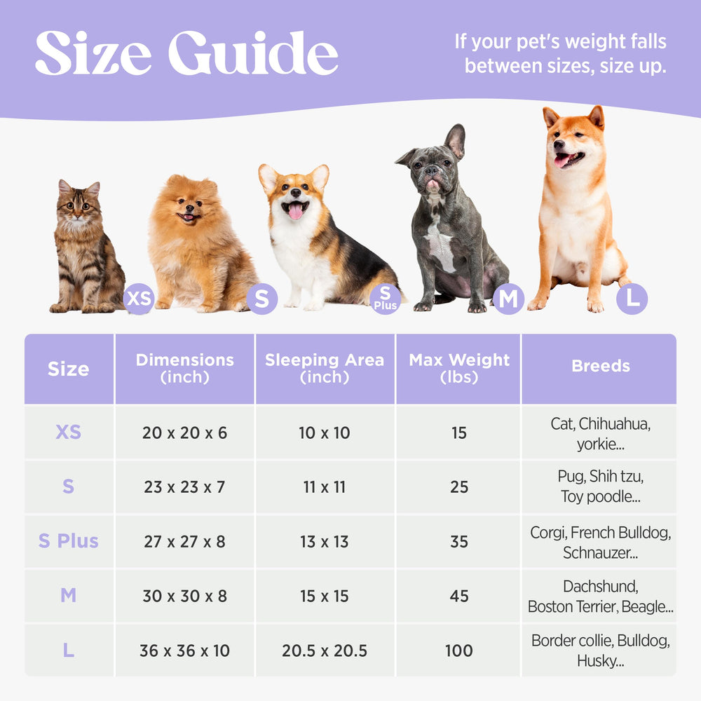 LE SURE Donut small dog bed pattern adds stylish interior appeal