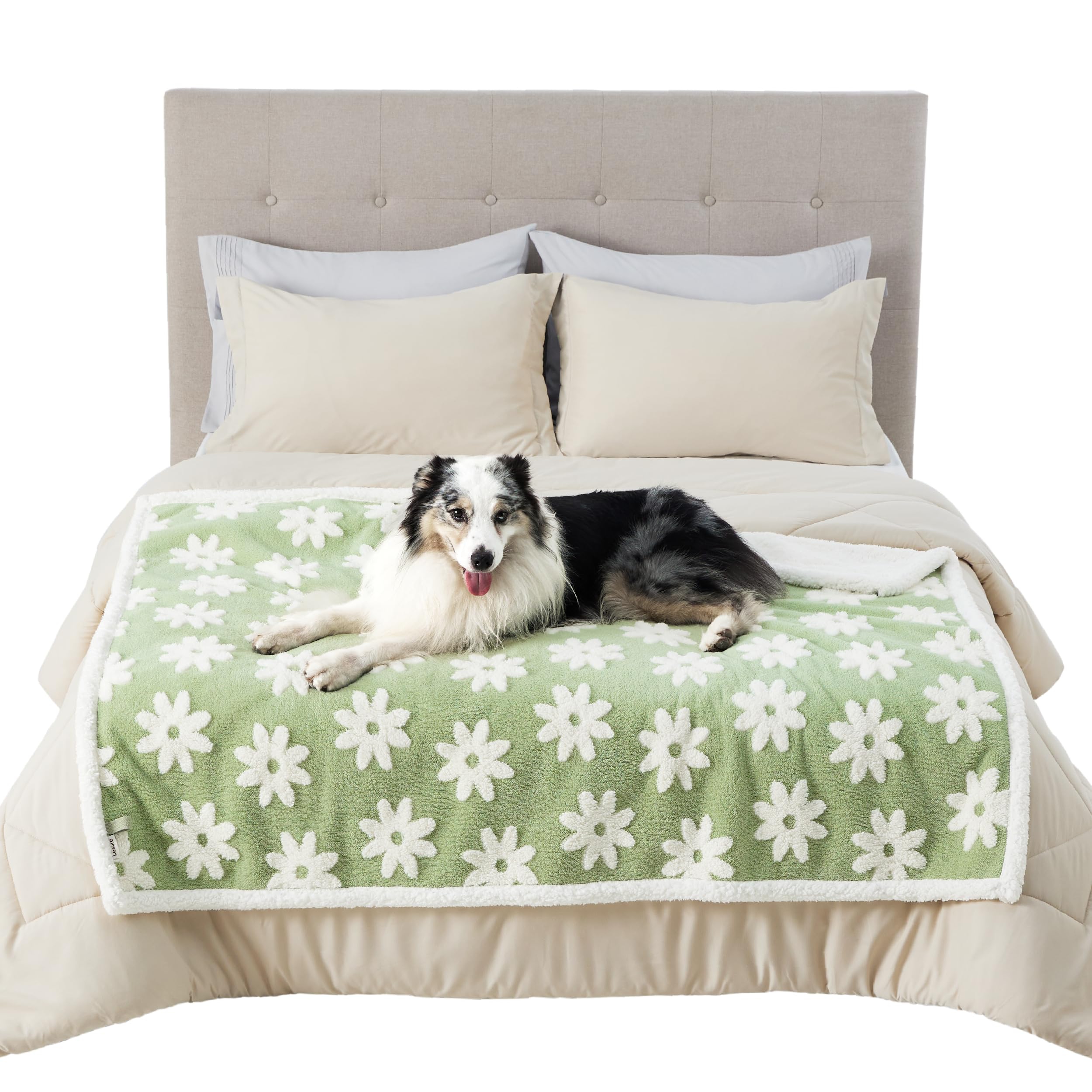 LE SURE edge stitching detail demonstrates durability for active pets.