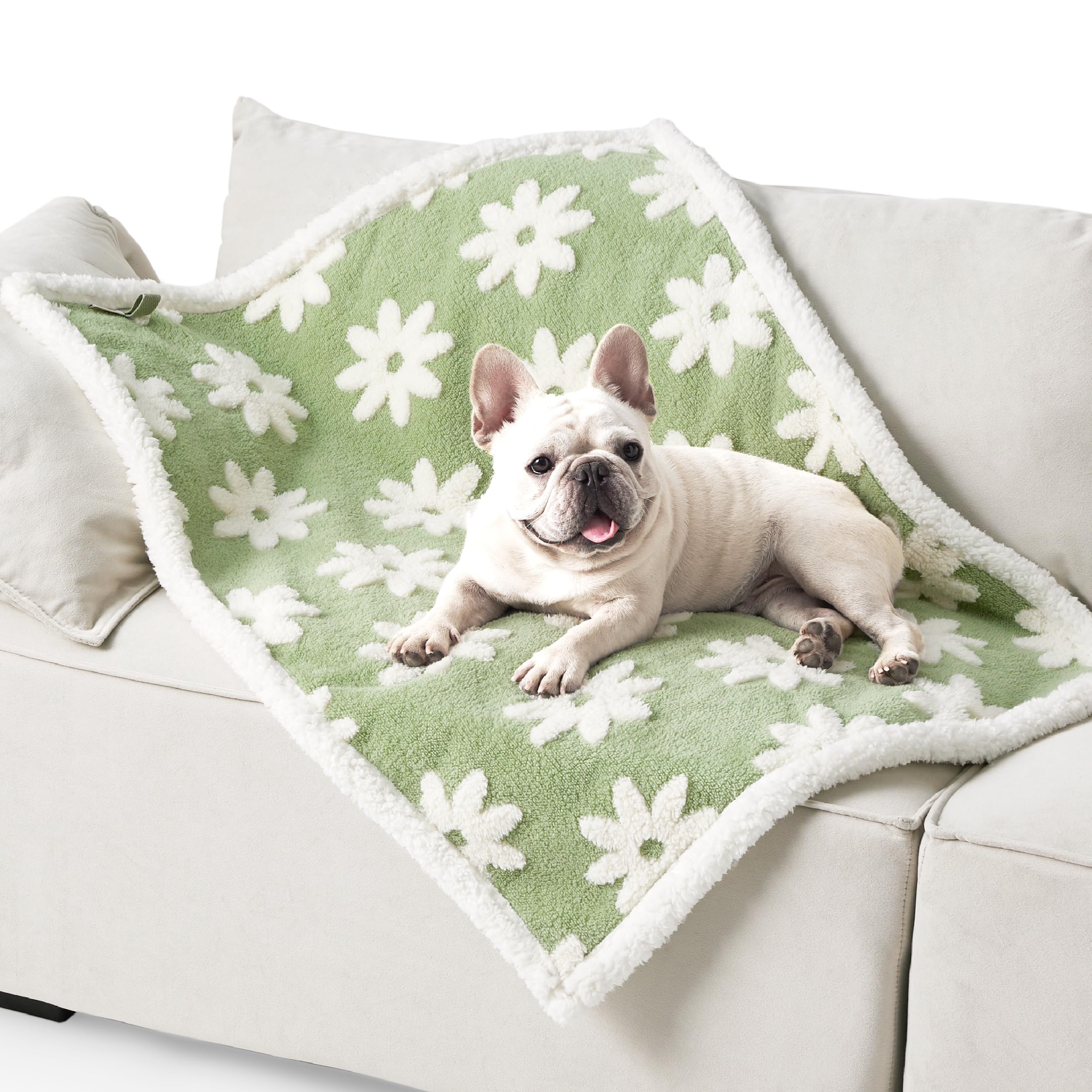 Le SURE machine-washable blanket is simple to clean and care for.