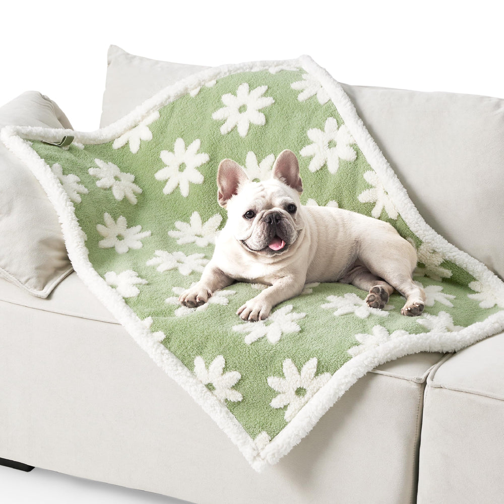 Le SURE machine-washable blanket is simple to clean and care for.
