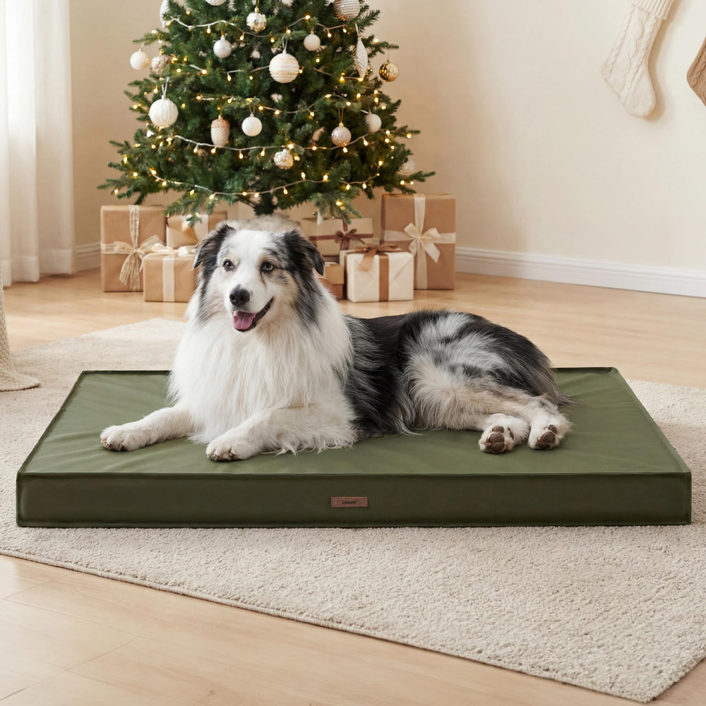 LE SURE large bed ready for crate, carrier, or travel use outdoors