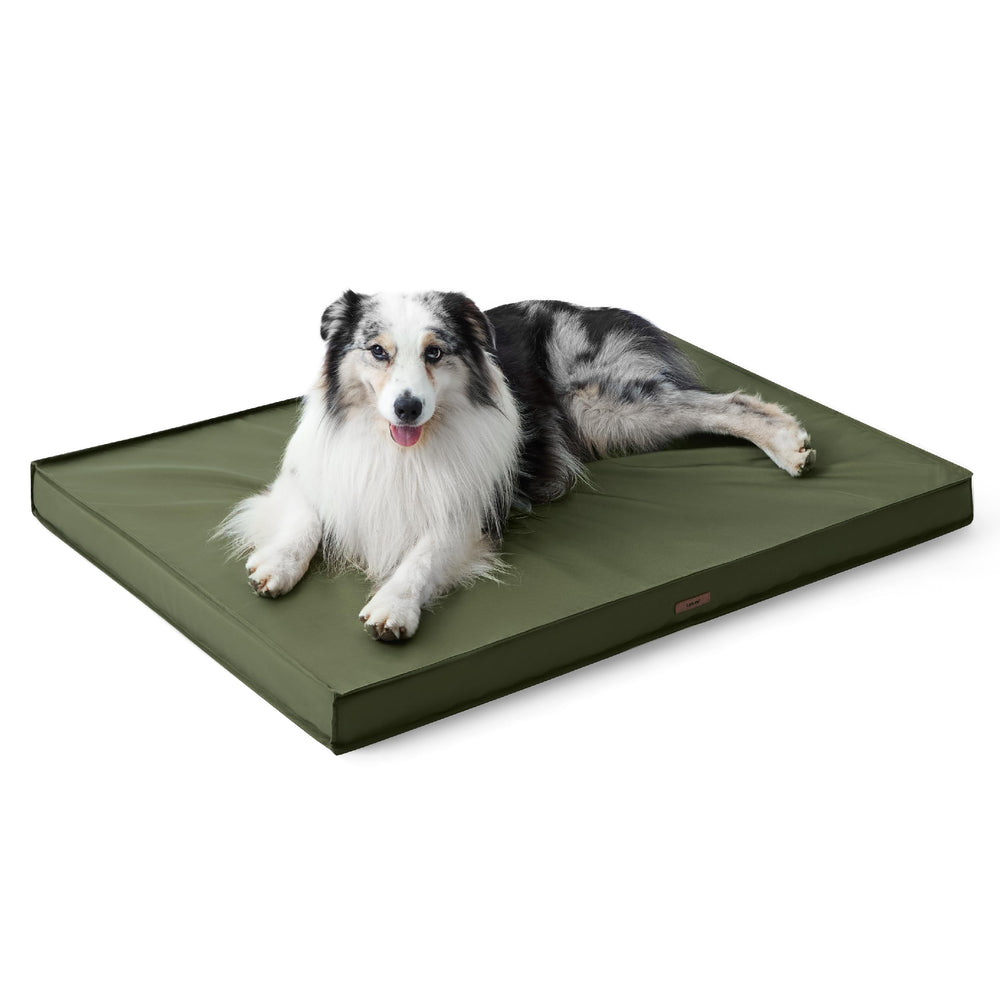 LE SURE outdoor dog bed in rugged setting demonstrates durability and versatility