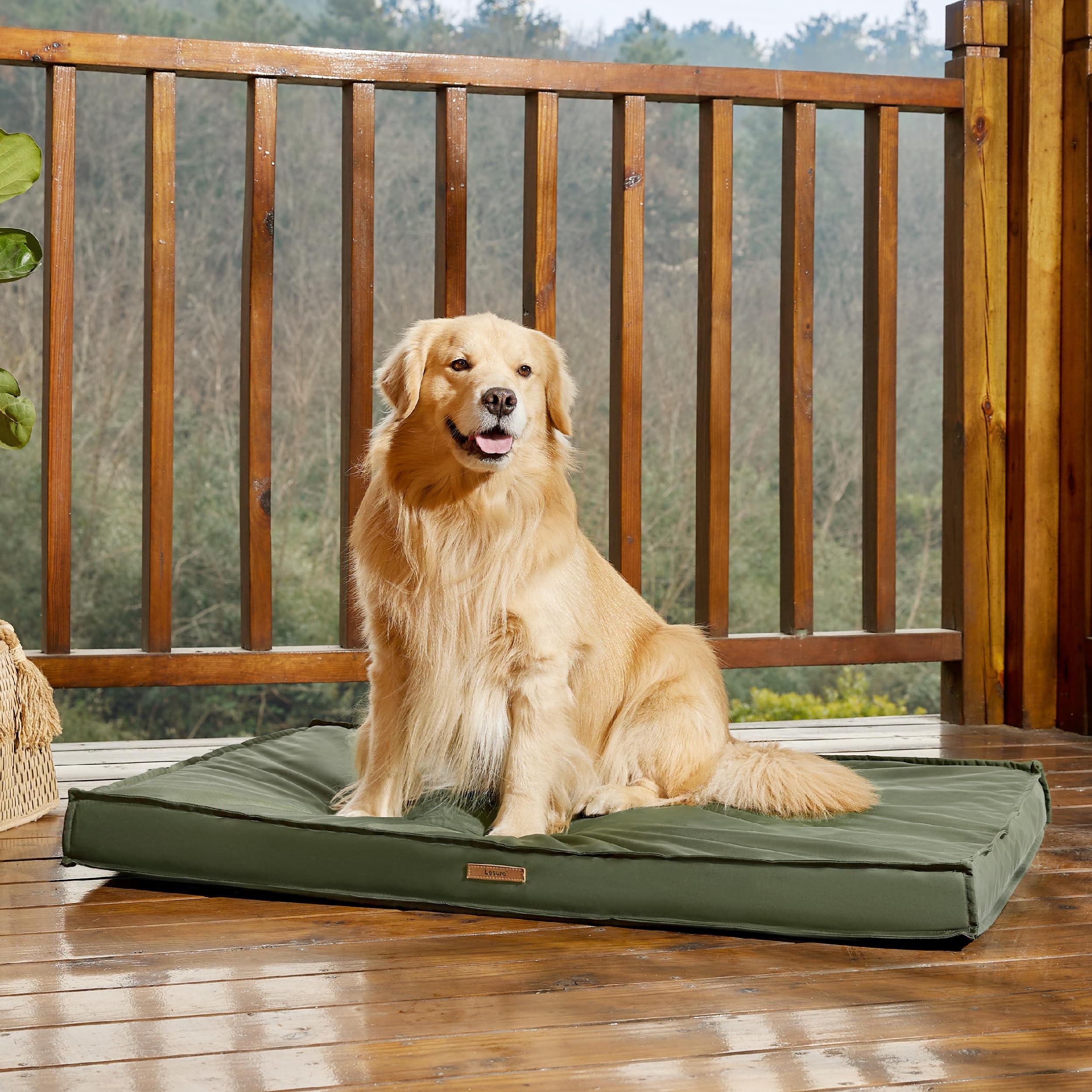 LE SURE concealed zipper design eases maintenance and keeps pets safe.
